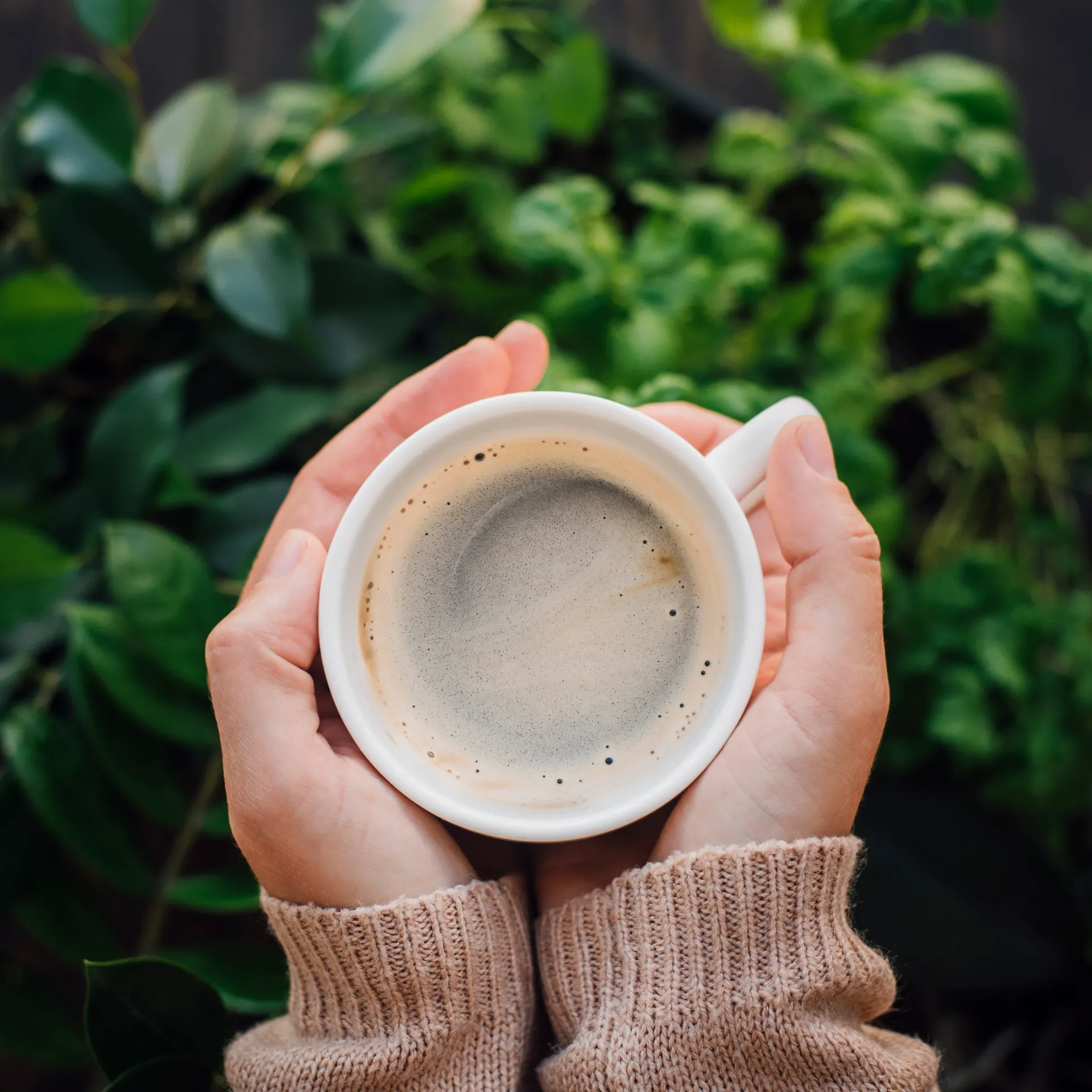 cup-of-coffee-in-hands-with-plant-background-2025-03-08-05-20-30-utc.webp
